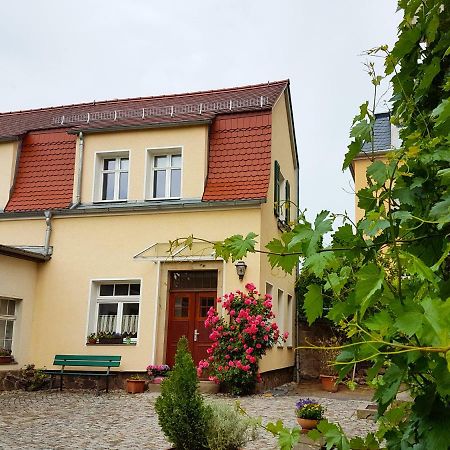 Villa Ferienhaus Mühlberg Radebeul Exterior foto